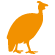 Guinea fowl